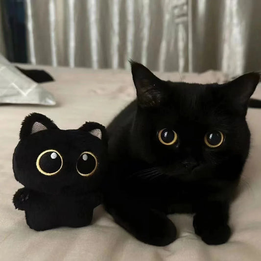 Peluche Chat Noir Mignon – Petit Pendentif Câlin 10 cm